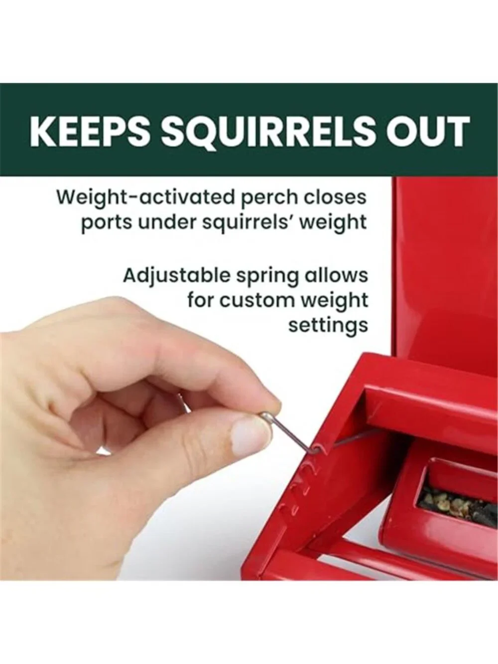 Squirrel-Be-Gone II Country Style Bird Feeder,8 lb Seed Capacity |Squirrel Proof